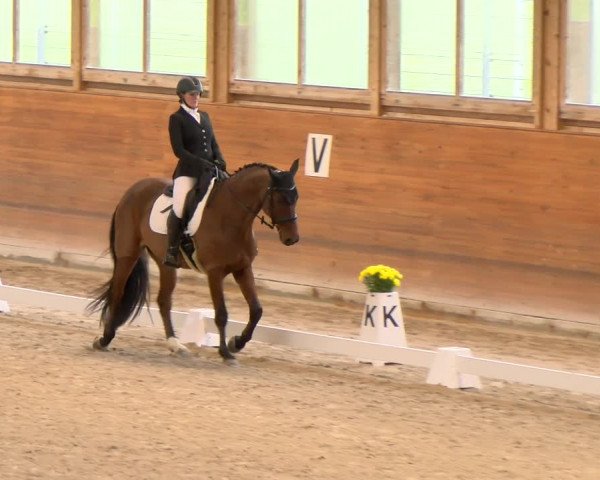Reitturnier Rüti 2022