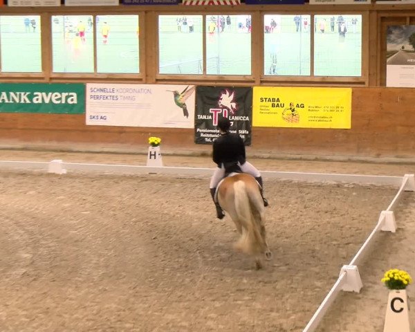 Reitturnier Rüti 2022