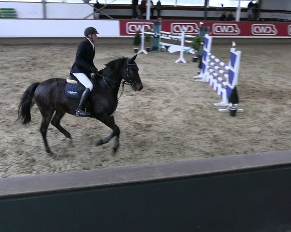 Reitturnier Marl 2022
