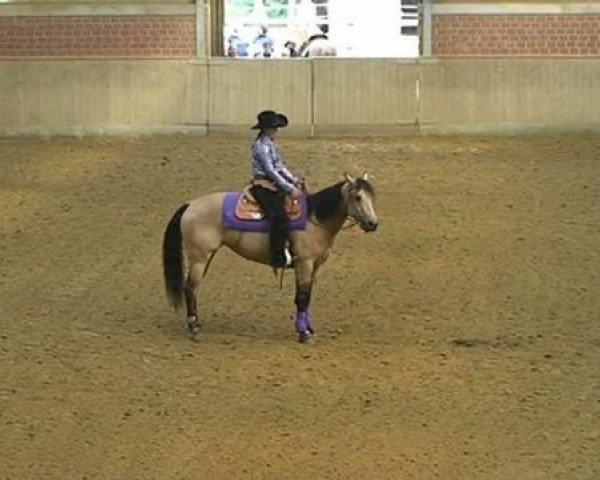 horse Little Peppy Skye (Quarter Horse, 2005, from Nics Peppy Train)