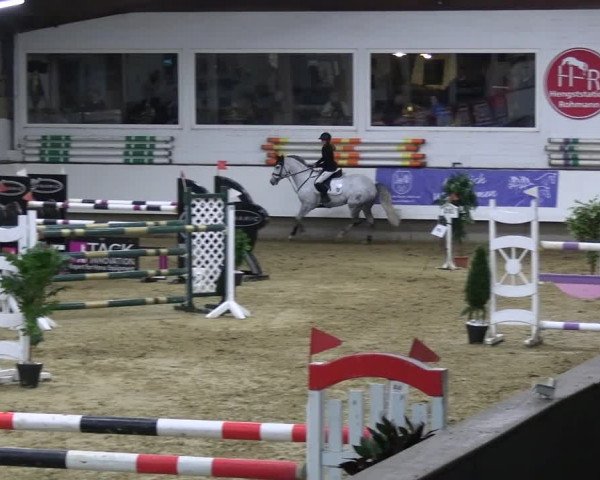 Reitturnier Marl 2022