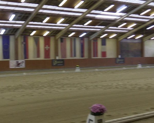 Reitturnier Weikersdorf am Steinfelde 2022