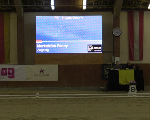 Reitturnier Weikersdorf am Steinfelde 2022