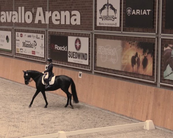 Reitturnier Güstrow/Cavallo Arena 2022