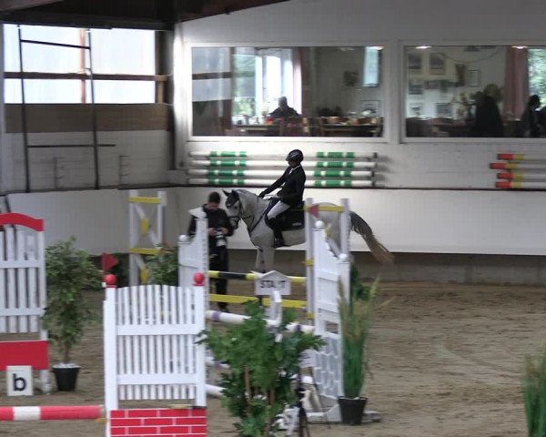 Reitturnier Marl 2022