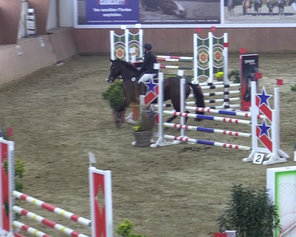Reitturnier Bad Salzuflen 2022