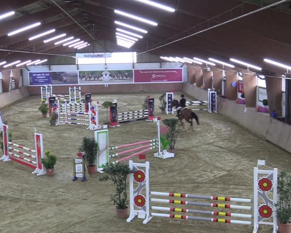 Reitturnier Bad Salzuflen 2022