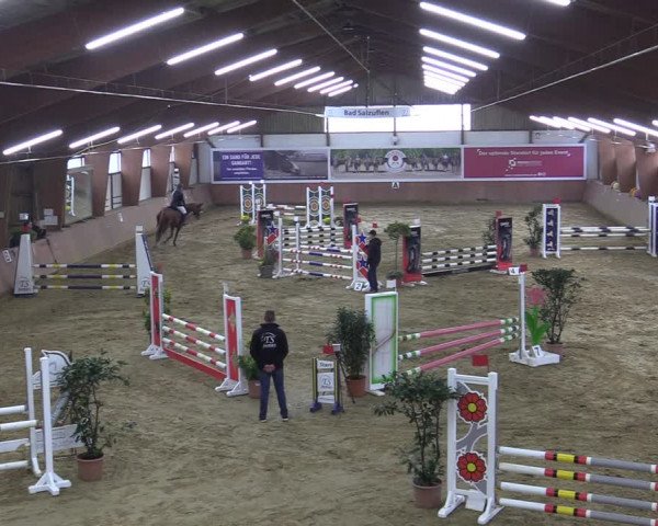Reitturnier Bad Salzuflen 2022