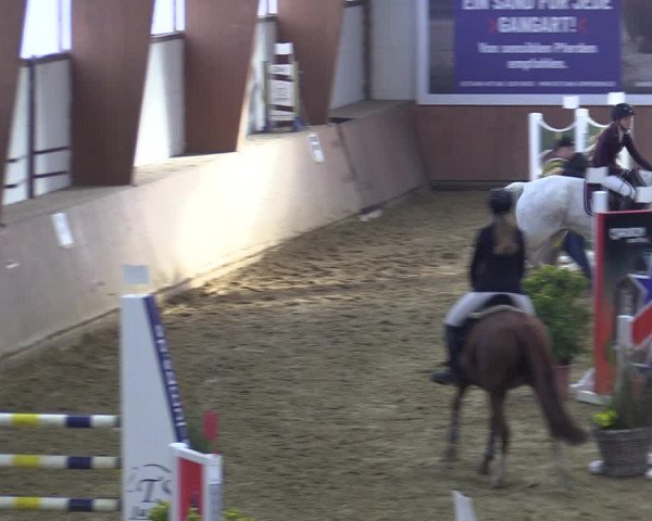 Reitturnier Bad Salzuflen 2022