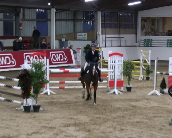 Reitturnier Marl 2022