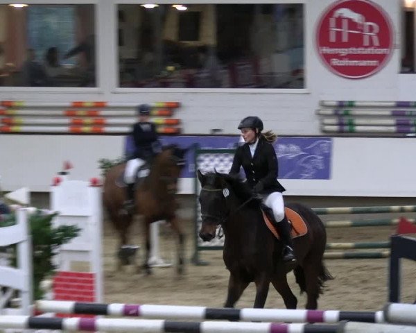 Reitturnier Marl 2022