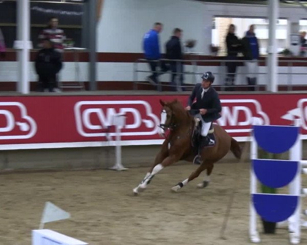 Reitturnier Marl 2022