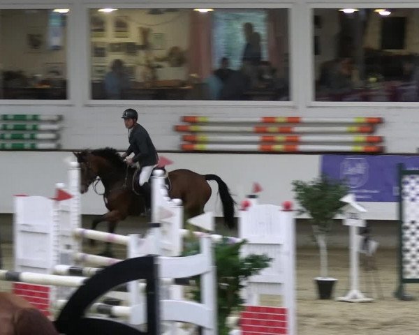 Reitturnier Marl 2022