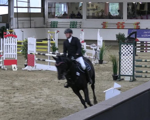 Reitturnier Marl 2022