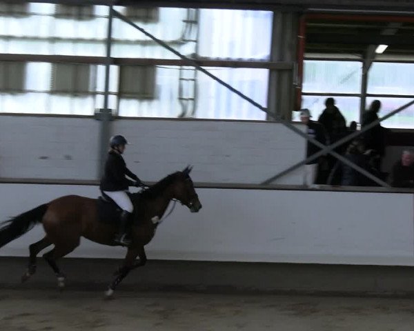 Reitturnier Marl 2022