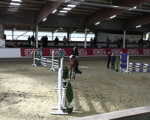 Reitturnier Marl 2022