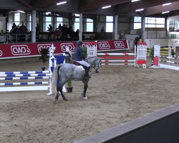 Reitturnier Marl 2022