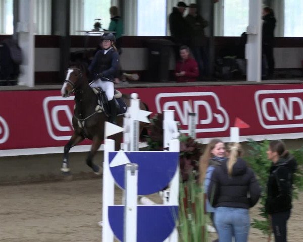 Reitturnier Marl 2022