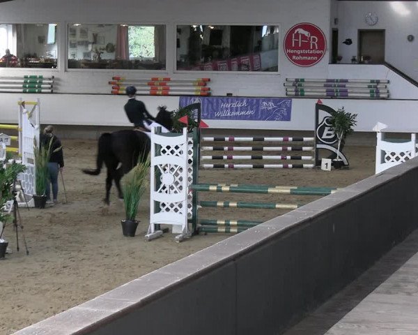 Reitturnier Marl 2022