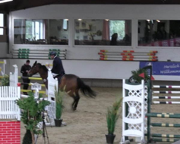 Reitturnier Marl 2022