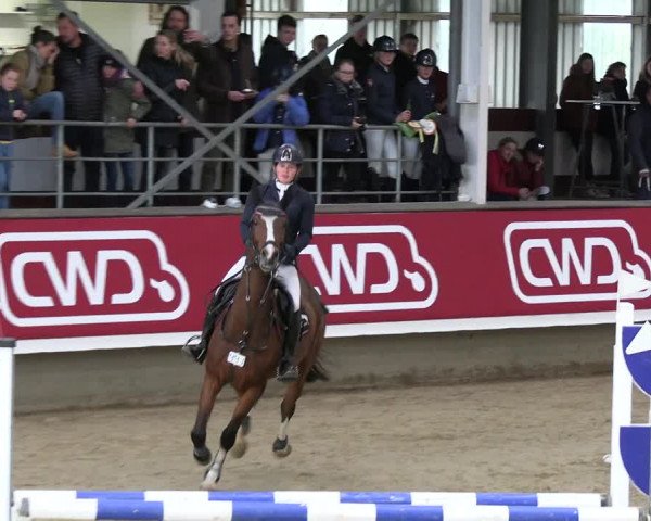 Reitturnier Marl 2022