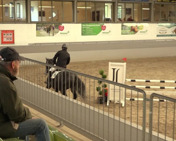 Reitturnier Luhmühlen 2022