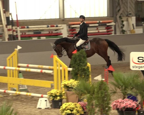 Reitturnier Luhmühlen 2022