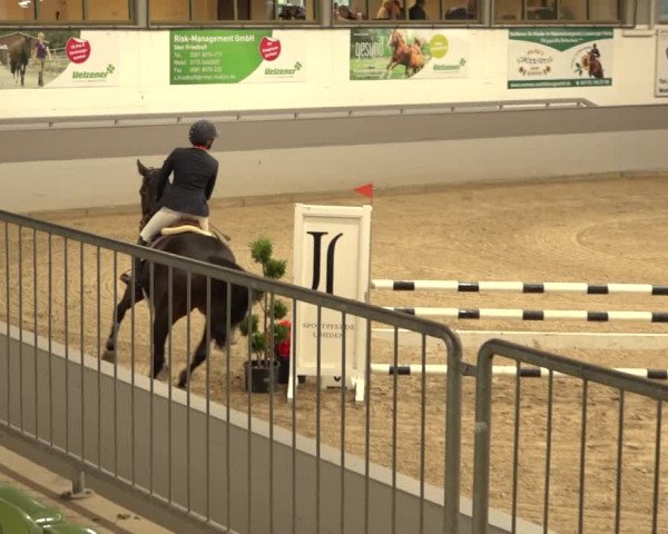 Reitturnier Luhmühlen 2022