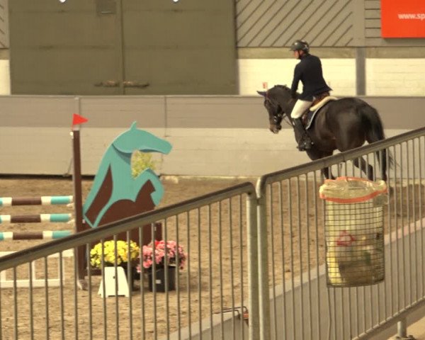 Reitturnier Luhmühlen 2022