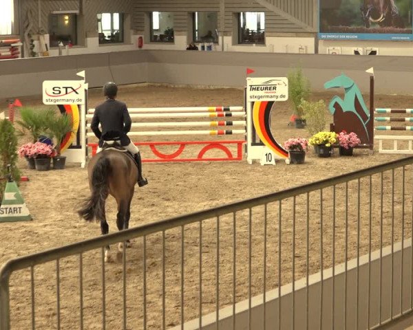 Reitturnier Luhmühlen 2022