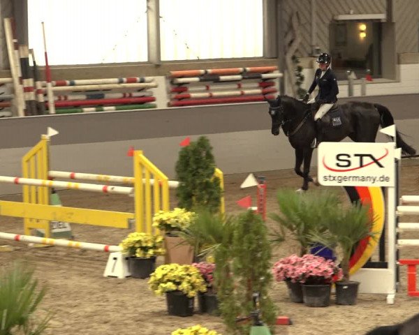 Reitturnier Luhmühlen 2022