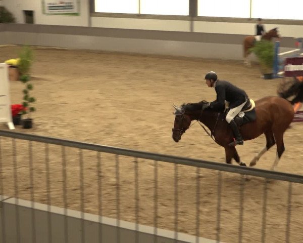 Reitturnier Luhmühlen 2022