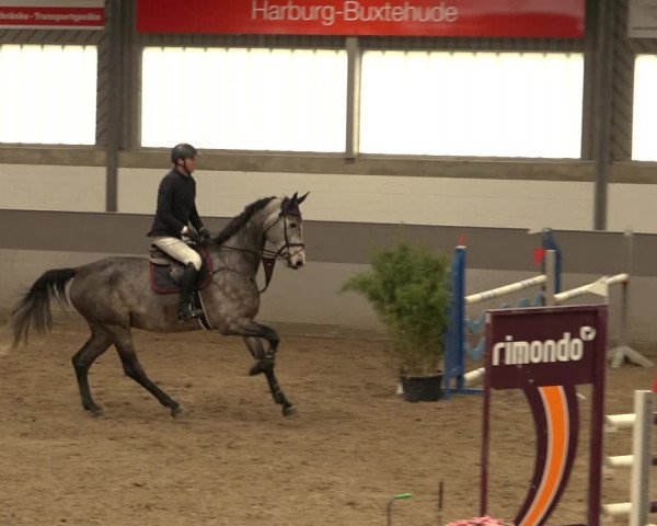 Reitturnier Luhmühlen 2022