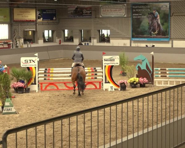 Reitturnier Luhmühlen 2022