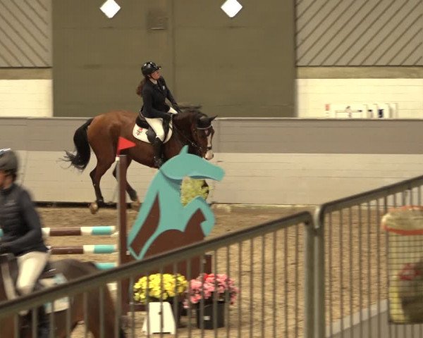 Reitturnier Luhmühlen 2022