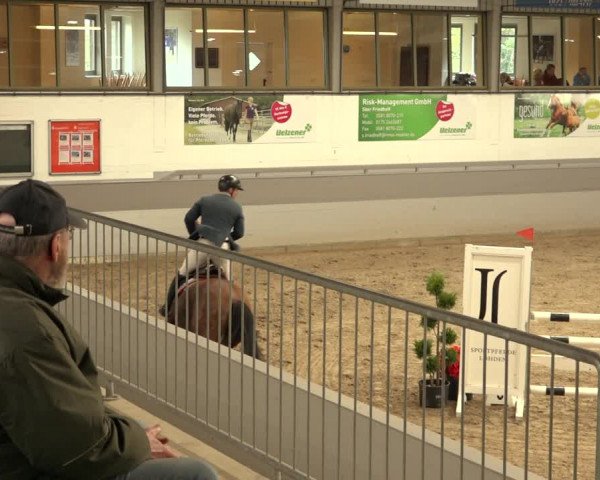 Reitturnier Luhmühlen 2022