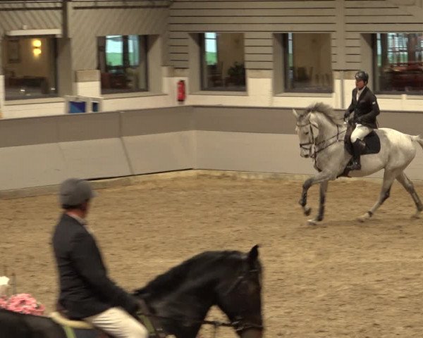 Reitturnier Luhmühlen 2022