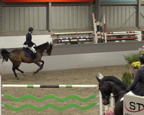 Reitturnier Luhmühlen 2022