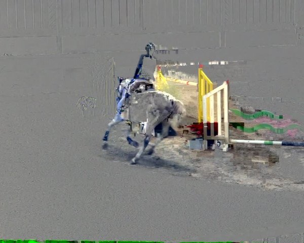 Reitturnier Luhmühlen 2022