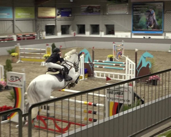 Reitturnier Luhmühlen 2022