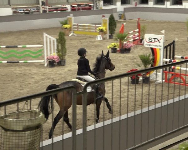 Reitturnier Luhmühlen 2022