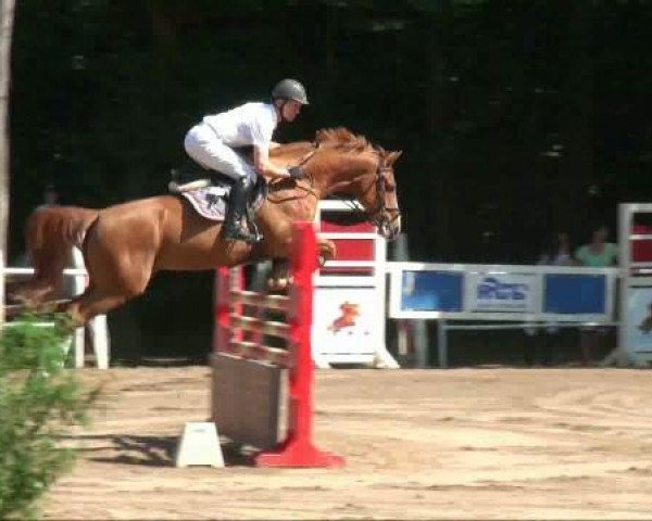 jumper Fanfarron 6 (Saxony-Anhaltiner, 2000, from For Future)