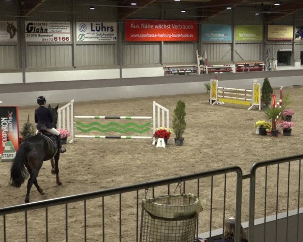 Reitturnier Luhmühlen 2022