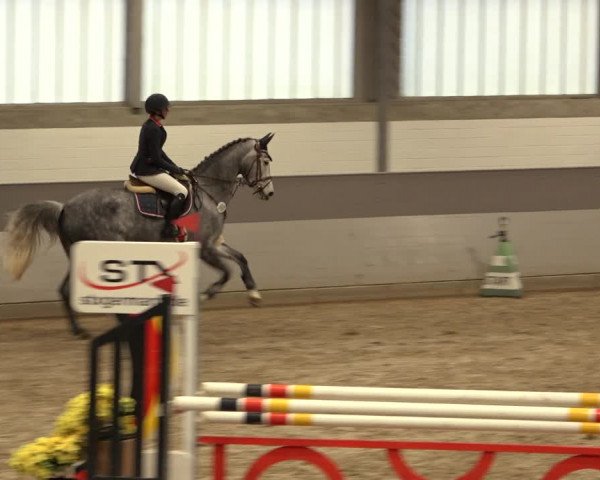Reitturnier Luhmühlen 2022