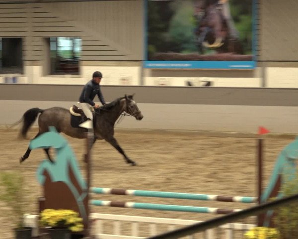 Reitturnier Luhmühlen 2022