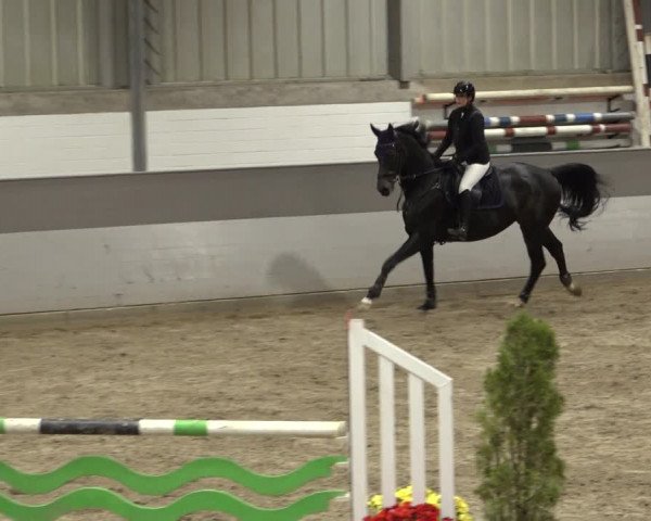 Reitturnier Luhmühlen 2022