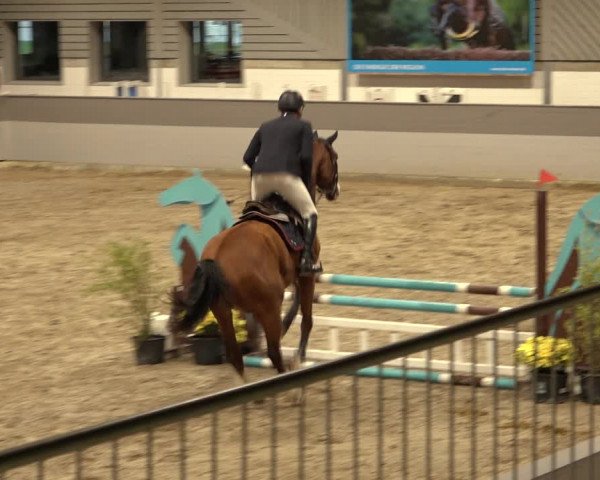Reitturnier Luhmühlen 2022