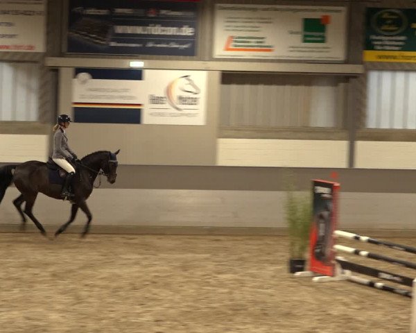 Reitturnier Luhmühlen 2022