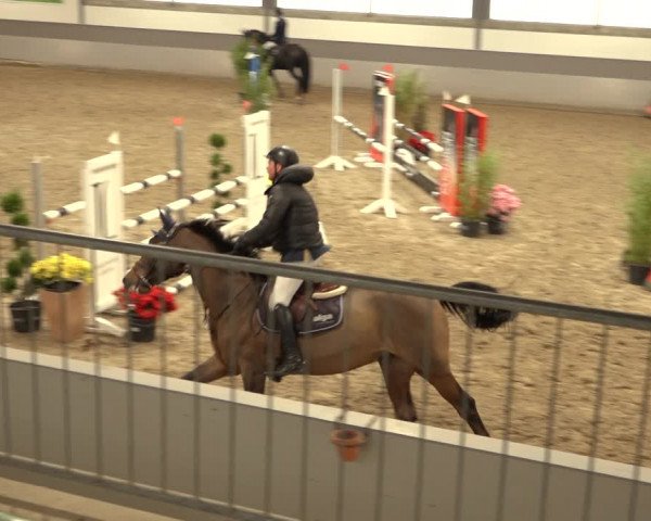 Reitturnier Luhmühlen 2022