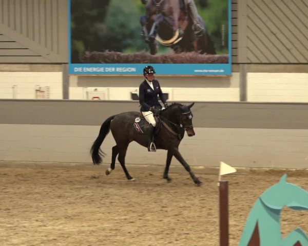 Reitturnier Luhmühlen 2022
